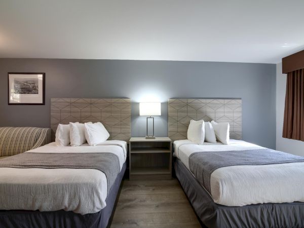 Two double beds with grey headboards, a shared nightstand with a lamp, pillows, framed art, and a window with brown curtains in a hotel room.