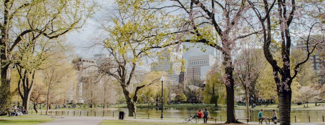A sunny park scene with paved paths, green lawns, and bare-to-spring trees; people stroll and bikes ride near distant buildings in the background.